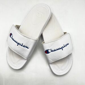 Champion IPO Slides